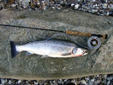 15 04 2007 Ejnar Madsen