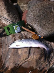 fiskerapport2