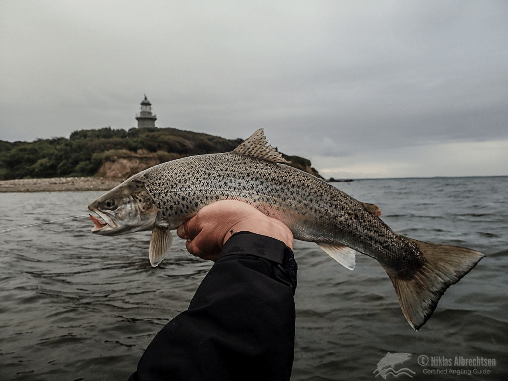 Slet dine spor på nettet – ellers afsløres dine fiskepladser