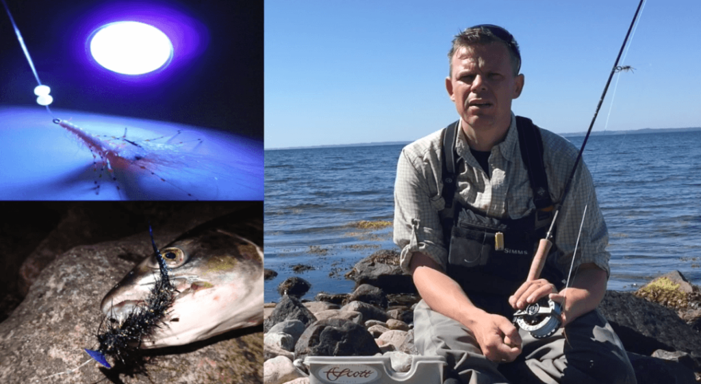 Fiskeriet i juli efter havørred…