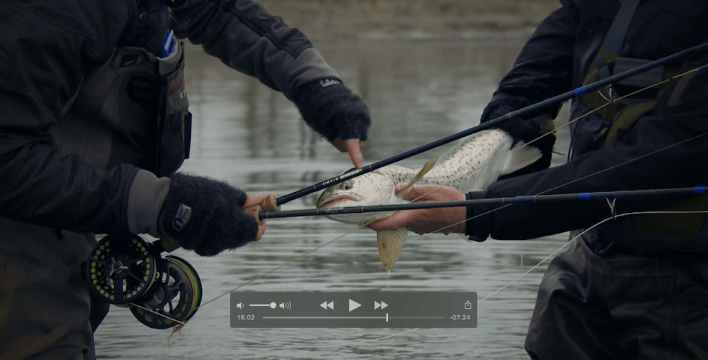 Sea Trout Battle 4 – Afslutningen