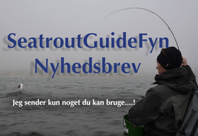 NYHEDSBREV