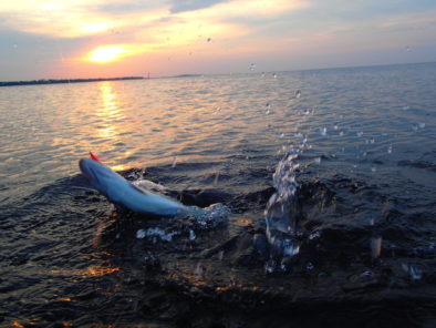 Natfiskeri