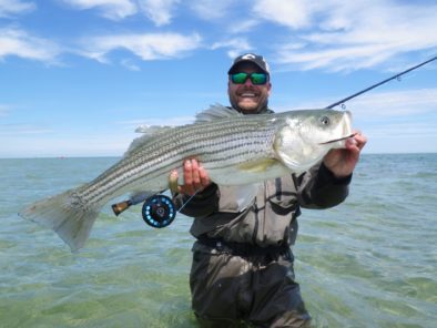 Cape Cod - Stripers