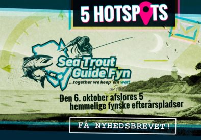STGF 5 hot spots Newsletter