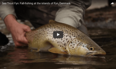Fall-fishing at the islands of Fyn, Denmark