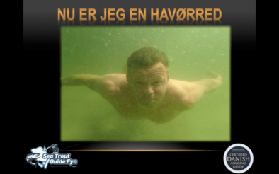 Hvor finder du havørreden på kysten