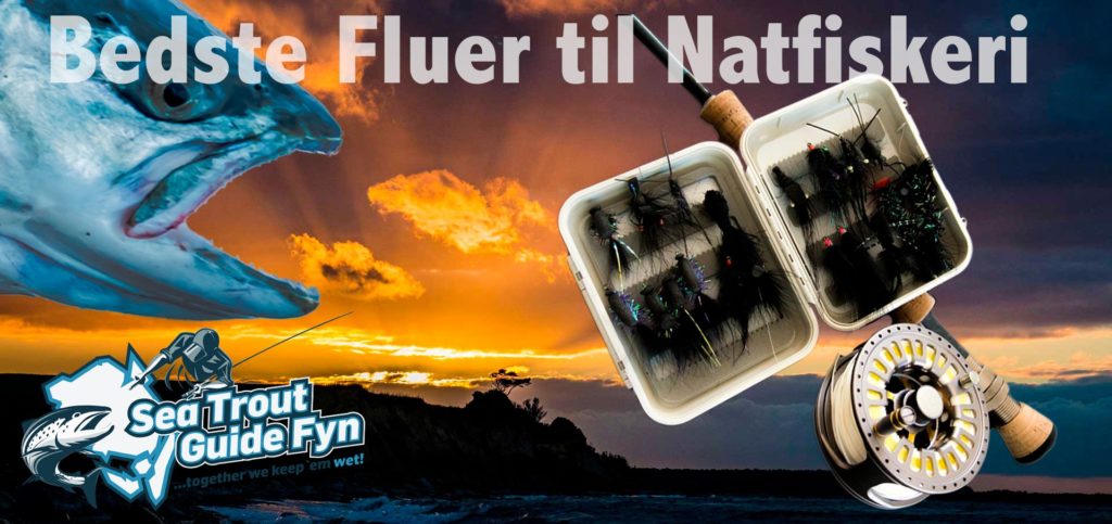 De bedste Fluer til Natfiskeri efter Havørred