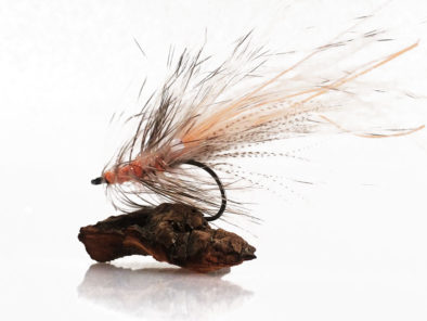Alive Shrimp Reje