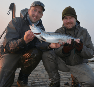 seatrout guide denmark 487x450