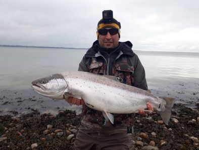 Big Seatrout from Helnæs