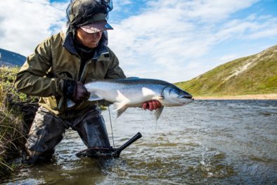Camp North Greenland-Arctic Char