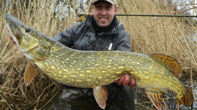Geddefiskeri med Seatrout Guide Fyn