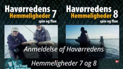 Anmeldelse af Havørredens Hemmeligheder