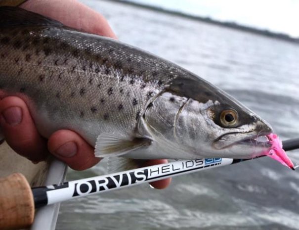 Fælles guidet fisketur på kysten